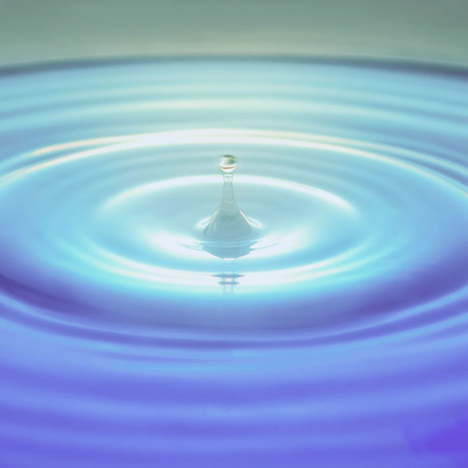 The Power of Fragrance